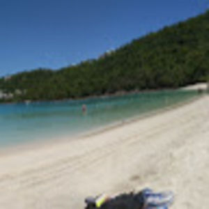 Meet your Posher, Addison